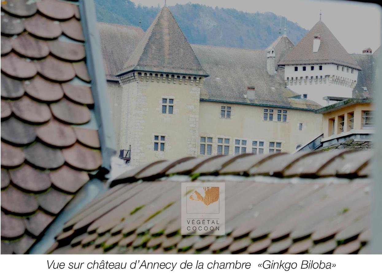 Vegetal Cocoon Apartment Annecy Bagian luar foto